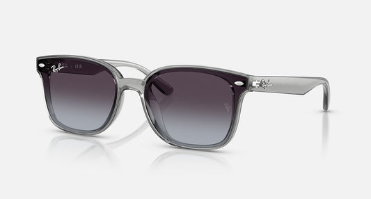 Ray Ban 4461D 6450/8G 64 17 145 3N